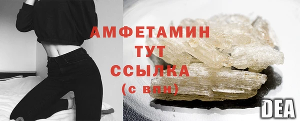 сатива Заводоуковск