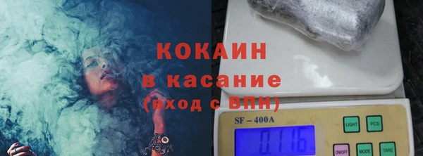 сатива Заводоуковск