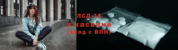 сатива Заводоуковск