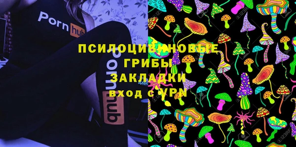 сатива Заводоуковск