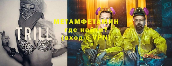 сатива Заводоуковск