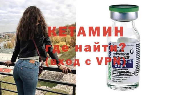 сатива Заводоуковск
