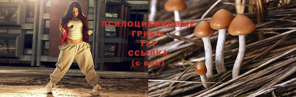 сатива Заводоуковск